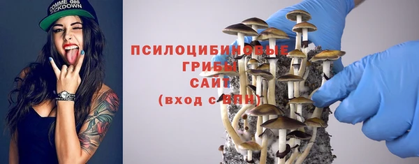 прущие грибы Балахна