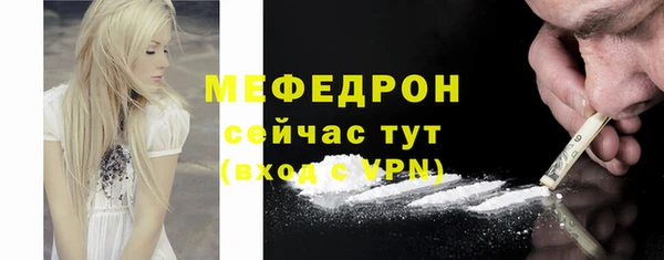 гашик Богданович