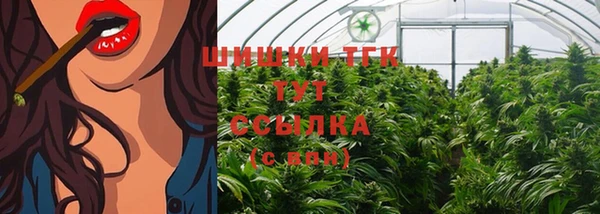 прущие грибы Балахна