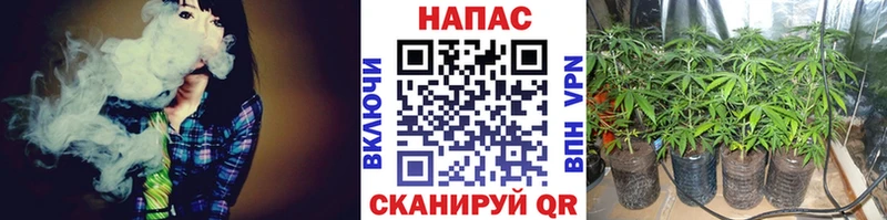 Шишки марихуана тримм Кушва